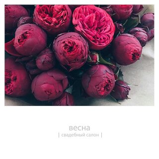 Свадебный Салон "Весна"